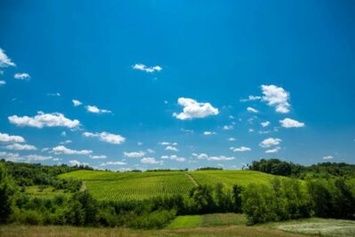 Preliminarna analiza dugoročne vizije razvoja ruralnih područja