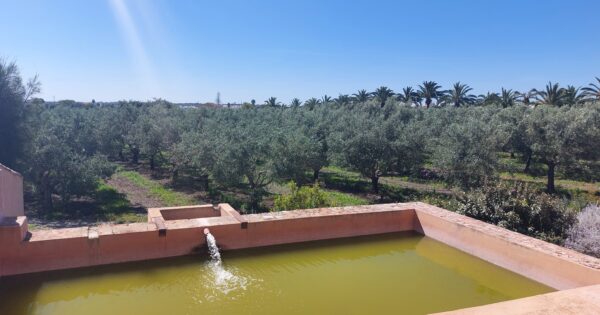 Studijsko putovanje u Portugal