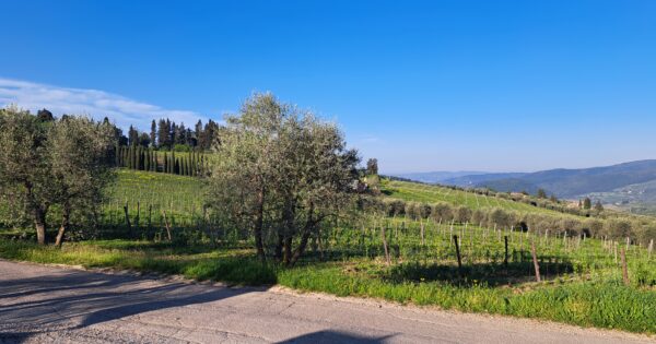 Studijsko putovanje u Toskanu – biodinamička obrada vinove loze