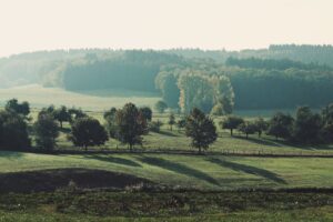 Agencija za plaćanja s 23 LAG-a dodatno ugovorila 33,2 milijuna kuna za provedbu lokalnih razvojnih strategija (LRS)