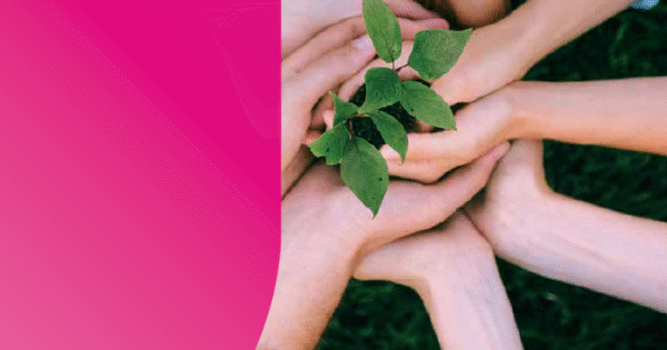 Inovacije u poljoprivredi kroz EIP operativne skupine