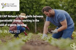 EU ZPP mreža objavila poziv za iskaz interesa za međusobne posjete operativnih skupina