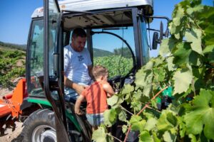 Konzultacije s dionicima u okviru izrade SP ZPP 2023.-2027. na temu Mladi