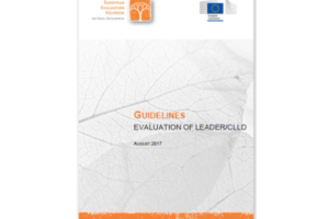 Smjernice: evaluacija LEADER-a/CLLD-a dostupne na hrvatskom jeziku
