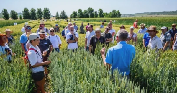 Unakrsni posjeti Operativnih skupina u svibnju 2025. – prijave do 23.2.2025.