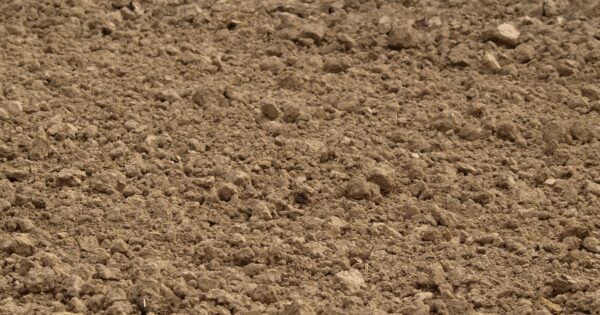 Uključite se u online raspravu na temu obnove bioraznolikosti poljoprivrednog zemljišta s ciljem produktivnosti i otpornosti, u organizaciji projekta AGROECOLOGY – europske inicijative za održivu poljoprivredu