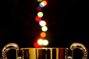 ENRD i u 2021. godini provodi tradicionalnu dodjelu nagrada pod nazivom Rural Inspiration Awards (RIA) 2021. Tema dodjele je “Naša ruralna budućnost”…