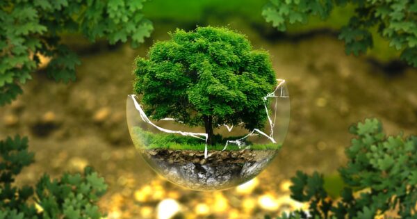Studenti s Agronomskog fakulteta u Zagrebu osvojili prvo mjesto na nacionalnom natjecanju Bio-based Innovation Student Challenge 2024 (BISC-E24)
