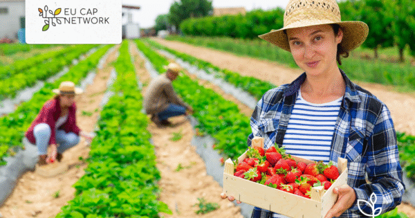 Prijavite se za sudjelovanje na 3. sastanku Foruma o najboljim praksama u lancima opskrbe hranom