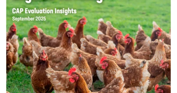 Novo izdanje publikacije „ZPP Evaluacijski uvidi: ekološka poljoprivreda“