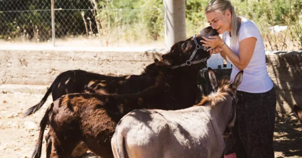 Projekt OPG-a Brankice Borović „Farm to face cosmetics – slow luxury“ u finalu europske nagrade ARIA 2024. – glasati možete do 1.12.!