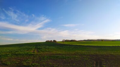 farmlands