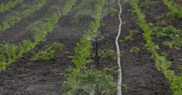 Prijavite se na konferenciju EU mreže Zajedničke poljoprivredne politike na temu otpornosti na nedostatak vode u poljoprivredi