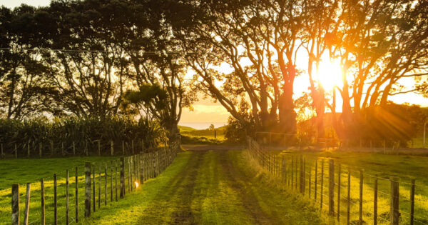 Objavljeno novo izdanje informativnog biltena EU ZPP Mreže