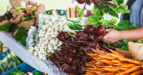 Prijavite se za studijski posjet najstarijem ekološkom poljoprivrednom gospodarstvu u RH u organizaciji Tematske radna grupa “Zelena arhitektura” koja djeluje u okviru Nacionalne mreže ZPP-a