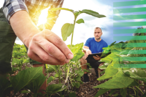 Europska komisija predstavila viziju za uspješan poljoprivredni i poljoprivredno-prehrambeni sektor EU-a